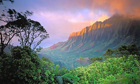 جزیره کائوآئی هاوایی