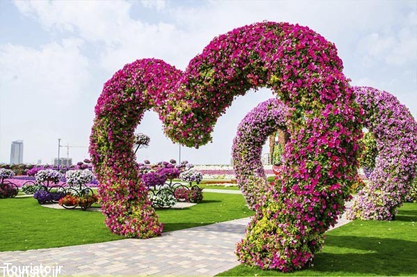 Miracle garden Dubai