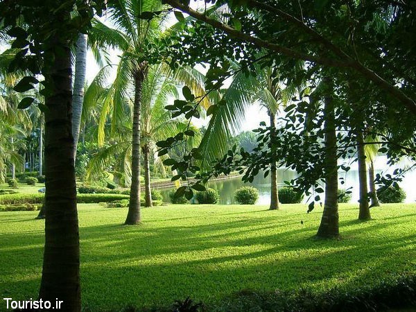 Tropical Botanical garden, Xinglong