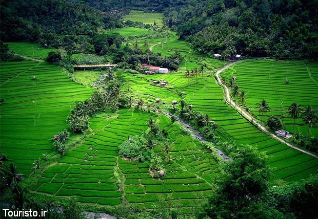 جزیره بالی-bali